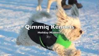 Qimmiq Christmas Madness