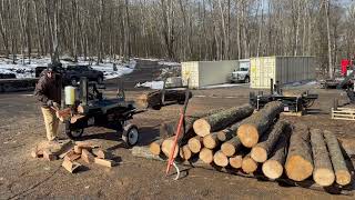 Double Logs Lifted and processed, HWP-100tr-H