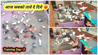 Aaj Sab Kabootar Ke Tawe De Diye ❤️‍🔥 || Training Day:-3 || दो कबूतर सेदी के गिर गए 😡 || #pets #vlog