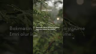 Emri olur, başım gözüm üstüne… #music #imera #trending