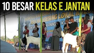 10 BESAR E JANTAN KULONPROGO!!! Kontes Kambing PE Kaligesing.