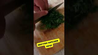 Идеальная закуска из малосольного кабачка - простой и очень быстрый рецепт необычного блюда