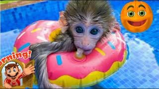 Baby monkey Bon Bon go to the toilet and playing with the puppy So cute#6