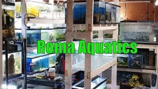 Fish Room Expansion - New Rack - It Is Getting Crowded