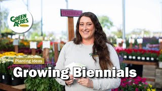 Growing Biennials