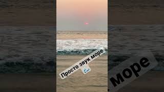 Шум волны 🌊 short#shortvideo #goa #shorts