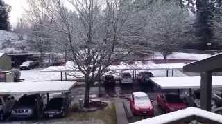 Snow in Kirkland, WA - 11/29/2014 @ 8:19AM