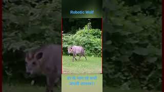 Robotic Wolf, डर के भाग रहे सभी जंगली जानवर!! #knowledge #hindi #robotics #wolf #technology