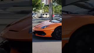 Alguém sabe qual modelo #rebaixados #memes #viral #lamborghini