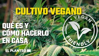 Cultivo VEGANO de CANNABIS:  mundo SUSTENTABLE, VEGAN 420 y FUTURO