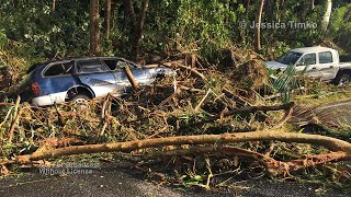 Savusavu Cyclone Winston