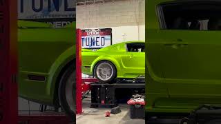 Love hearing that supercharged Saleen on the dyno!