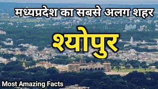 मध्यप्रदेश का सबसे अलग शहर श्योपुर | Shyopur District Fact | History Of Shyopur | Tourist Places