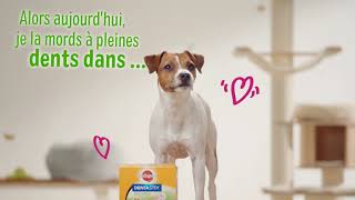 Approuvé par les 4 pattes | Les animaux de zooplus testent Pedigree Dentastix