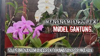 MENANAM ANGGREK MODEL GANTUNG, SOLUSI MENANAM ANGGREK DI KAWASAN PERUMAHAN..