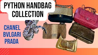 Why I Love Python Luxury Handbags.