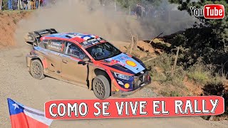 Como es el Rally en Chile Competencia de Nivel Mundial Best of WRC Rally Autos compiten por el time