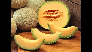 Cantaloupes 101 - Herbs and Spices That Go With Cantaloupe