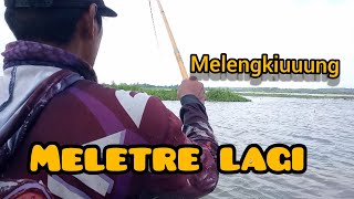 essen jitu bikin ikan nila meletre