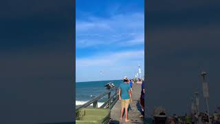 Huge pelican and seagulls at the beach came to eat fish #fish #birds #beach #pelicans #nature #sea