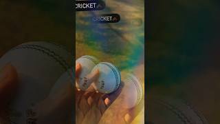 #ytshorts#shots#viral#nature#trending  #cricketlover#feedshorts#youtubeshorts#sjortsvideo#shortsfeed