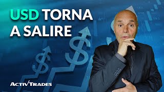 USD torna a salire