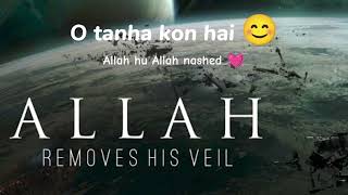 O tanha kon hai 😊 Allah hu Allah nashed 💞