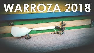 #22 Warroza 2018