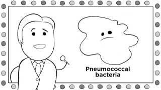 The Quiz Show: World Pneumonia Day