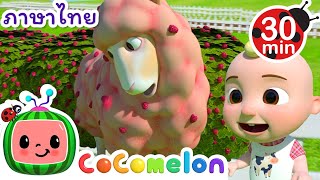 เจเจและแกะซน! | CoComelon | การ์ตูนเด็ก | Thai Cartoons for Kids | การ์ตูน