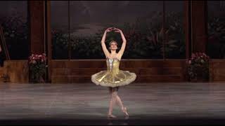 LA BAYADÈRE - Gamzatti Variation (Sydney Dolan)