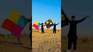 6 Tawa big kite Flying | #kite #kiteflying #patang #shorts #youtubeshorts #viral #kites