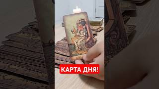 КАРТА ДНЯ! #таро #tarot #shorts #youtubeshorts