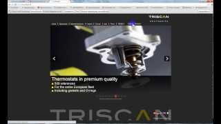 Подбор запчастей в WebCat Trisсan