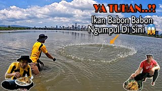 SAMPAI HERAN.!! Jala Ikan Di Sungai Sekali Tebar Dapat Ikan Nila Babon², Langsung Di Masak