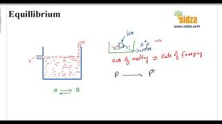 Equillibrium -Introduction (what is equillibrium)