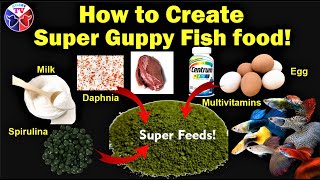 How to Create Super Guppy Fish Food!