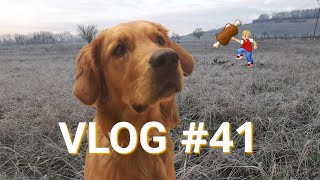 VLOG #41 / Aikos Freudentanz / neues Halsband / Boot Talk