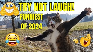 Cats and Dogs Funniest Moments Caught on Camera  - 2024!