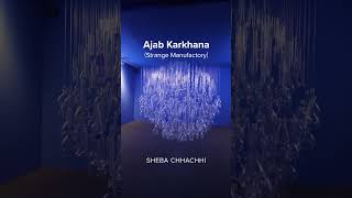 Sheba Chhachhi’s “Ajab Kharkhana (Strange Manufactory)” is showcased at Prussian Blue!