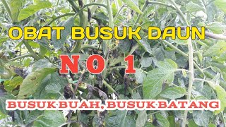 Fungisida yg Ampuh Mengobati Busuk Daun,Batang &Buah pd tomat