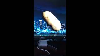 How to get a potato on your desktop on windows