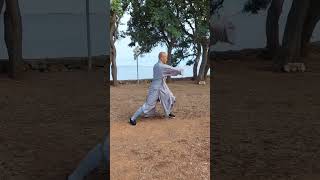 Traditional Shaolin Boxing #martialart