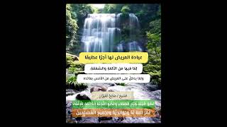 فضل عيادة المريض وثوابها | ￼￼الشيخ #صالح_الفوزان #shorts