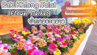 Pak Khlong Talat (Flower Market) ปากคลองตลาด กรุงเทพมหานคร Bangkok Thailand 🇹🇭 Walking Tour 4K