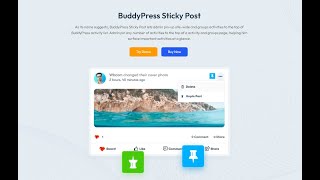 BuddyPress Sticky Post Plugin : Boost Engagement with BuddyPress Sticky Post Plugin