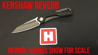 Kershaw Reverb - Heinnie Haynes Show For Scale