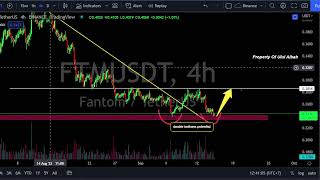 FTM Fantom  Price Analysis Today Update