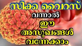 സിക്ക വൈറസ് അറിയേണ്ടതെല്ലാം | zika virus complication | sika virus | @ambilysubhash