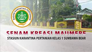 Sehat Sambil Berbudaya Karantina Sumbawa "Senam Meumere"